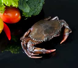 Soft Shell Crab (Scylla Seratta)